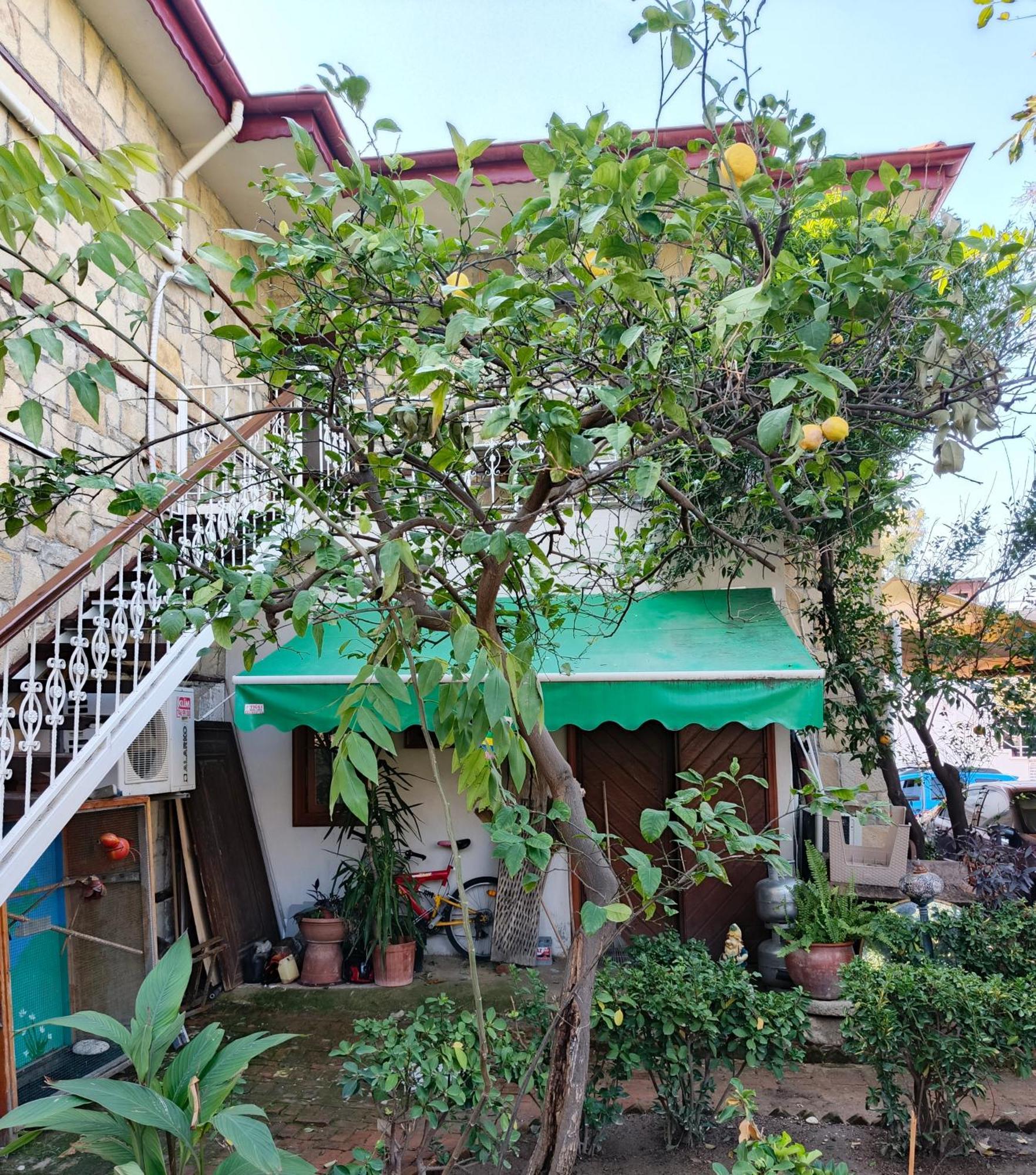 Beach House Apartment سيدي المظهر الخارجي الصورة